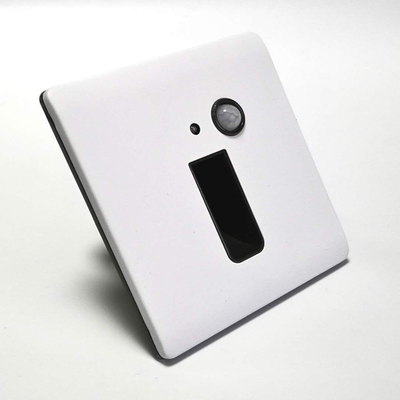 SS Panel Curved Plate Indoor Light with Motion Sensor 100 PCs/Ctn 20000 Working Hours